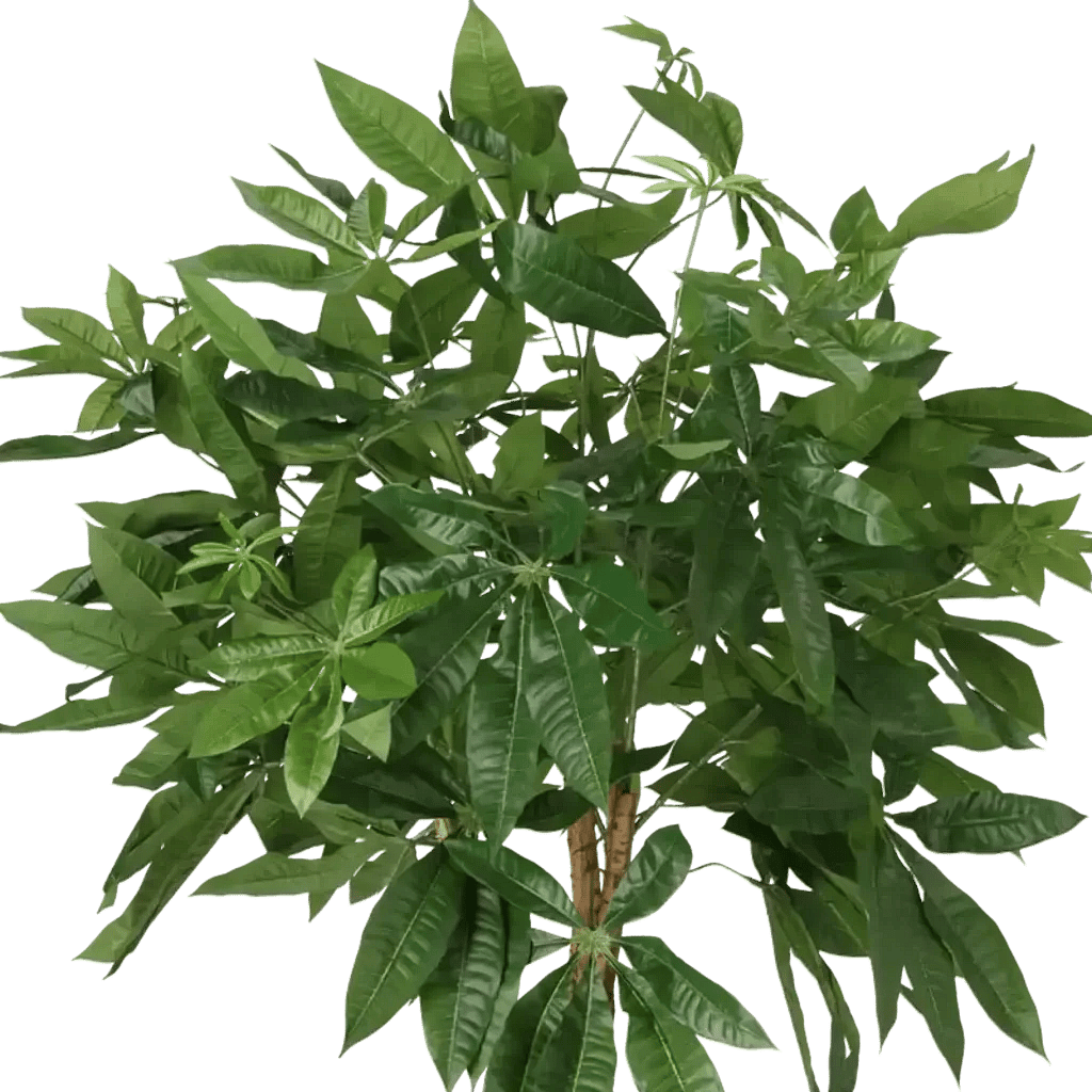 Closeup af Kunstig Pachira H: 130 cm.