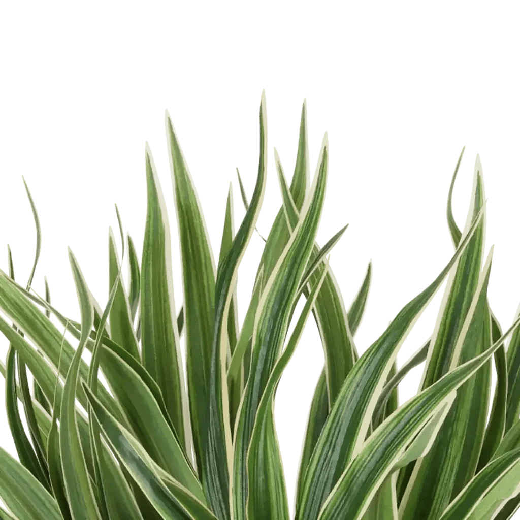 Closeup af Kunstig plante H: 30 cm.