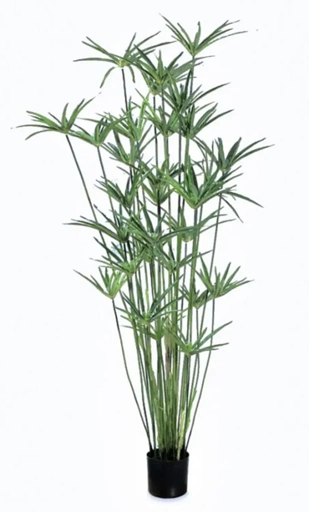 Kunstig Papyrus plante H: 170 cm.