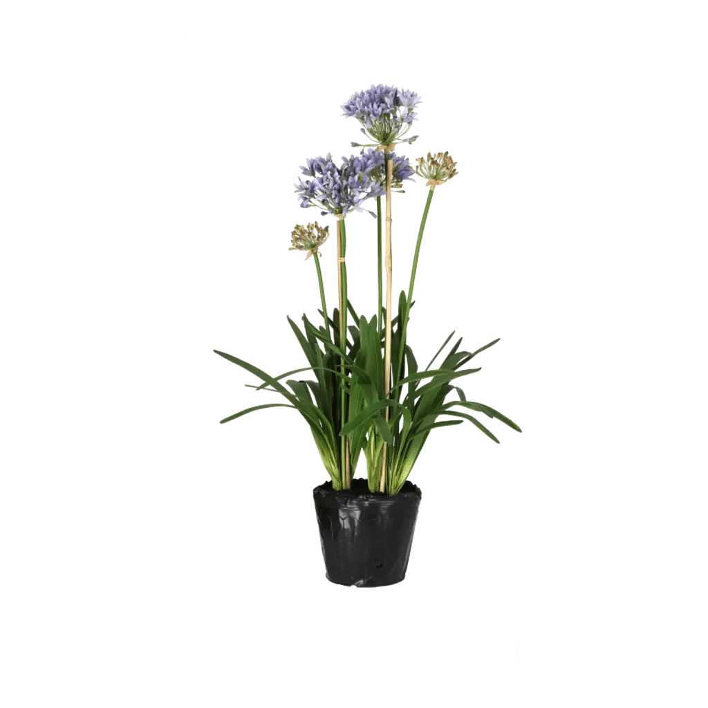 Kunstig Agapanthus H: 85 cm.