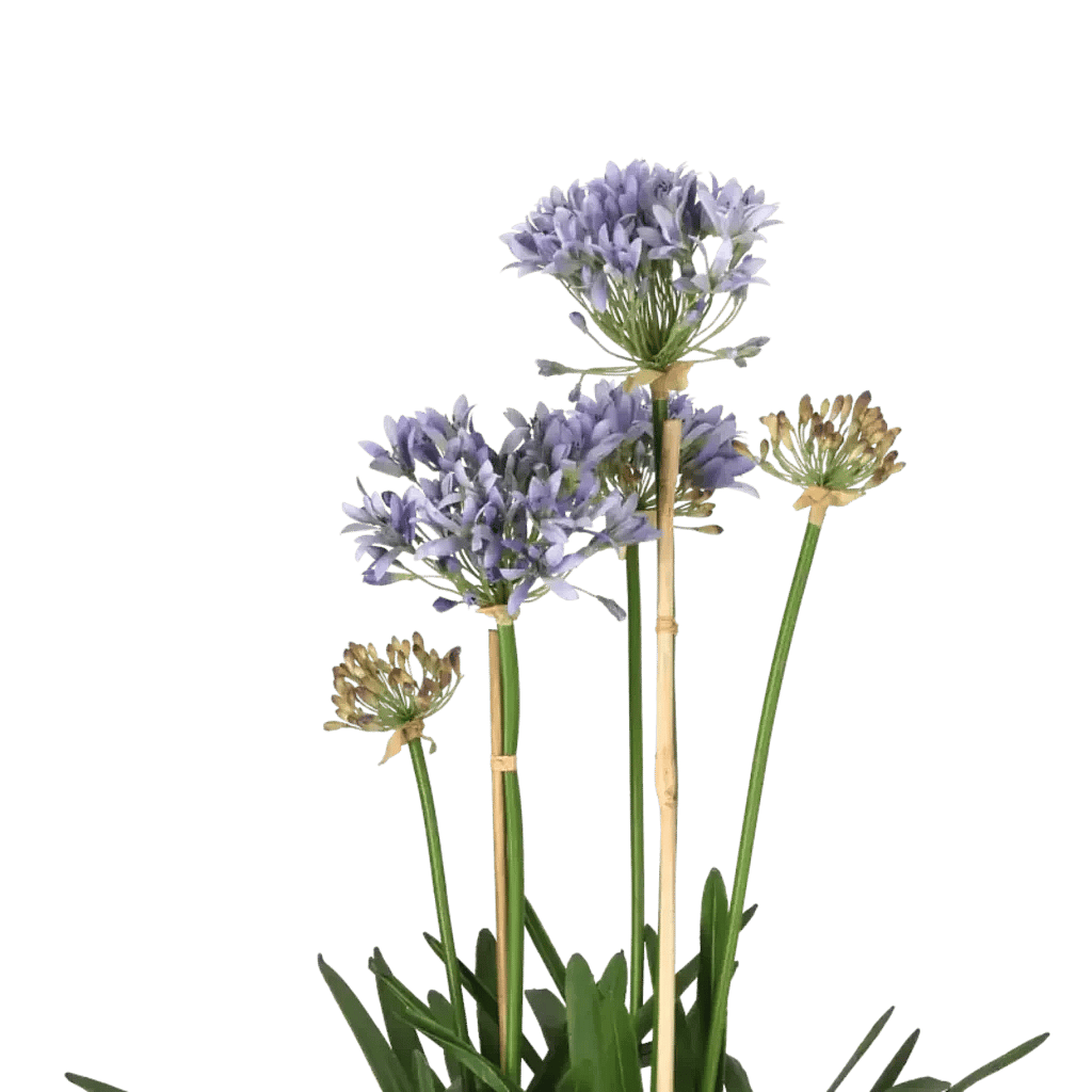 Closeup af Kunstig Agapanthus H: 85 cm.