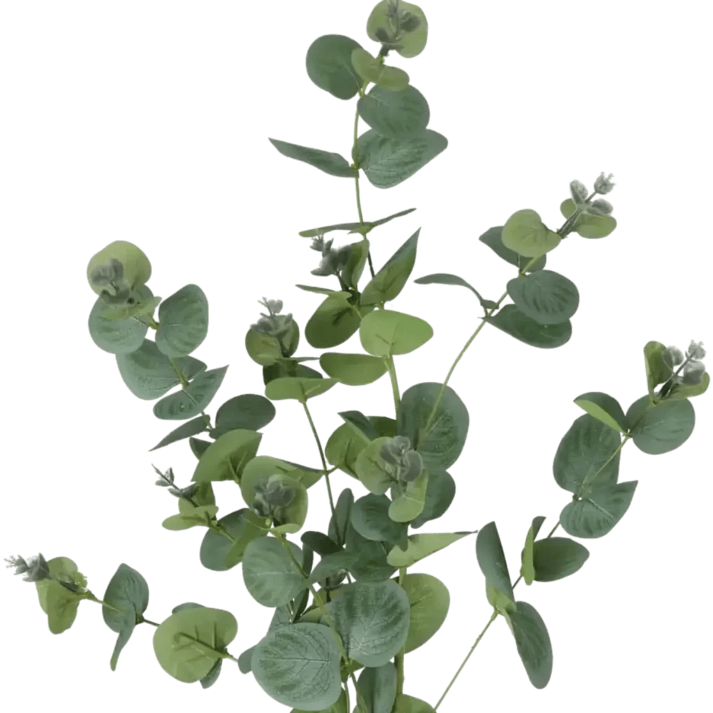 Closeup af Kunstig Eukalyptus L: 75 cm.
