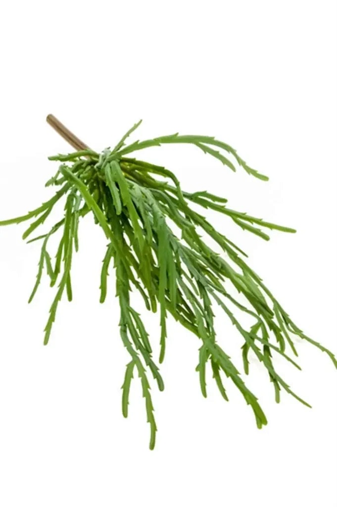 Kunstig Rhipsalis hængeplante L: 35 cm.