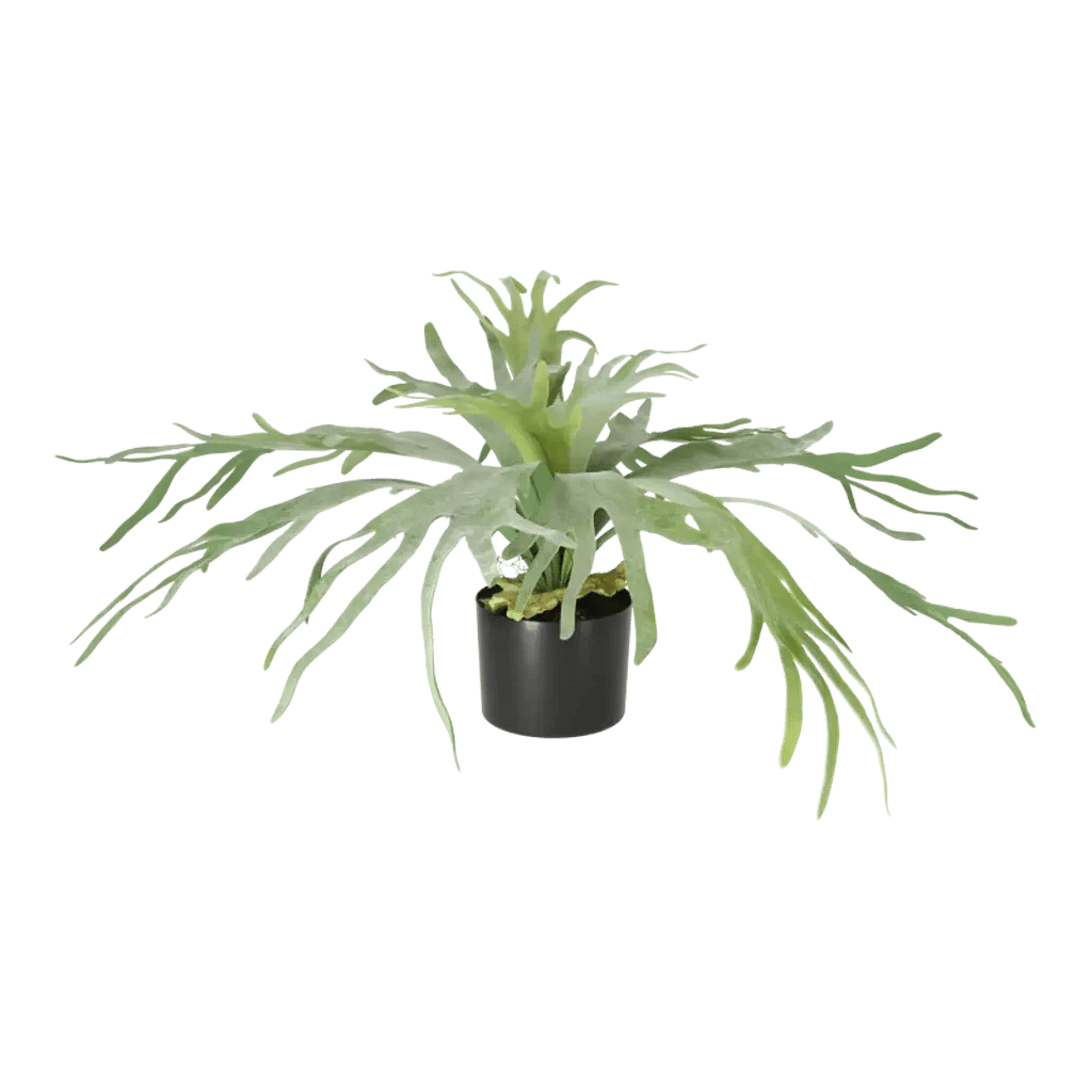 Kunstig Staghorn H: 60 cm.