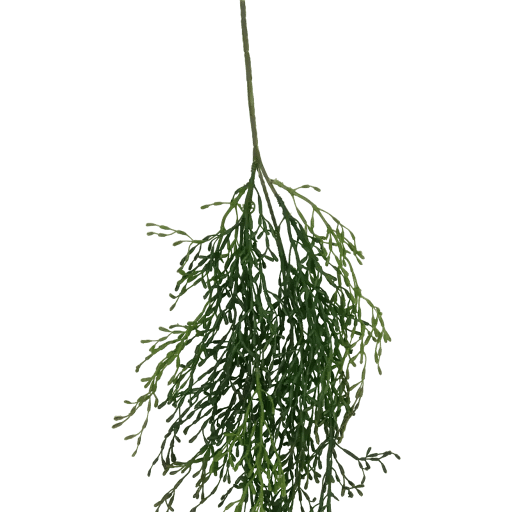 Closeup af Kunstig Rhipsalis hængeplante L: 90 cm.