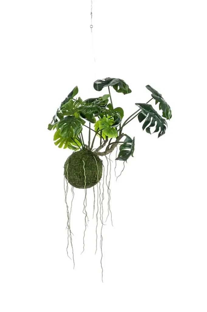 Kunstig Moskugle m. Monstera Ø: 60 cm.