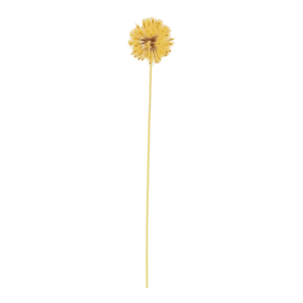 Kunstig Mælkebøtte L: 64 cm.
