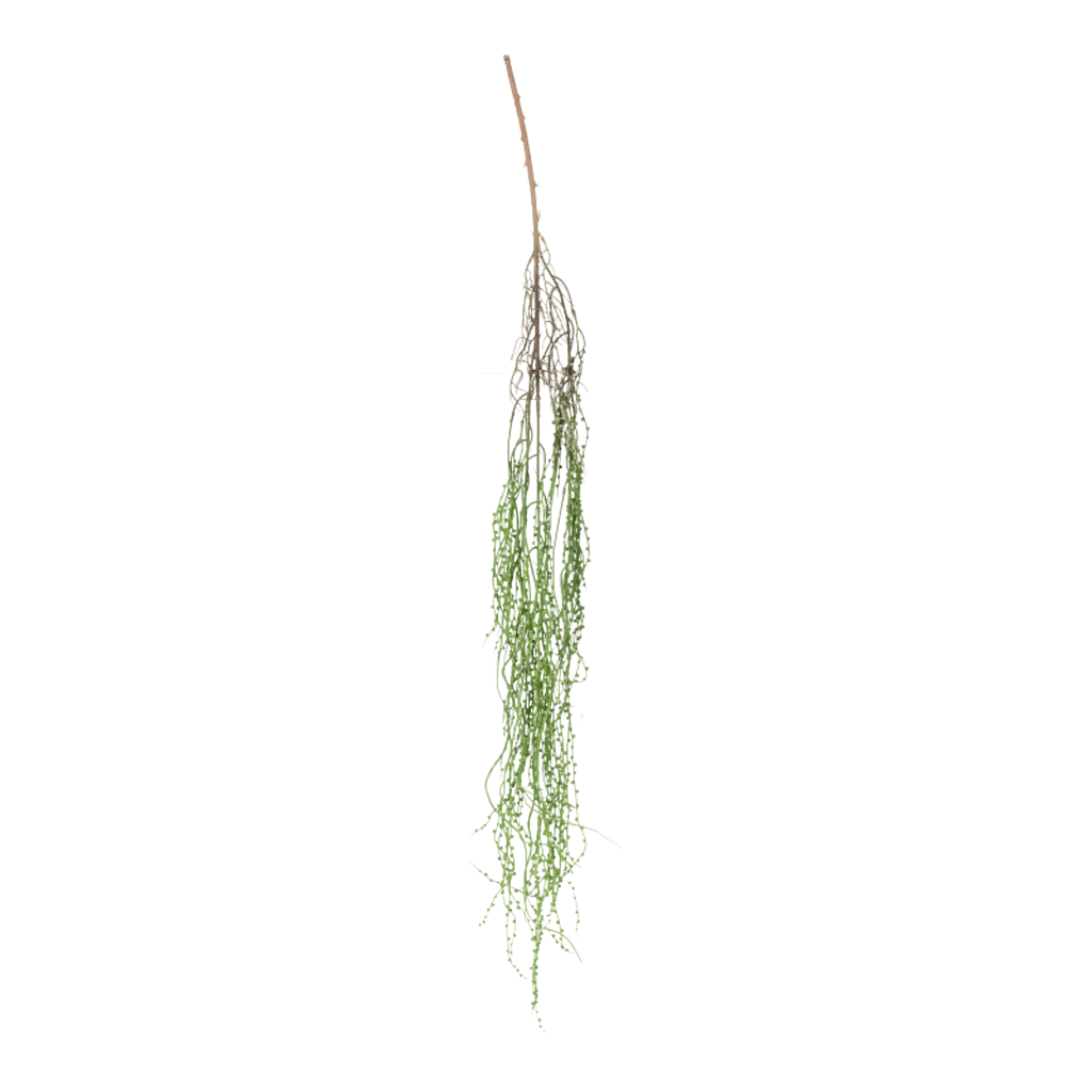 Kunstig Senecio hængeplante L: 150 cm.