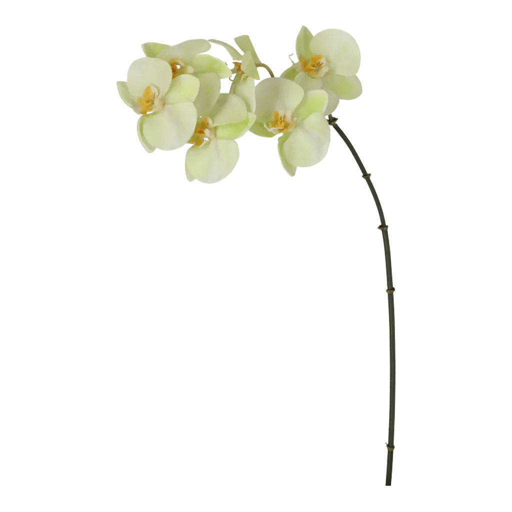 Kunstig orkide lime - H: 55 cm.