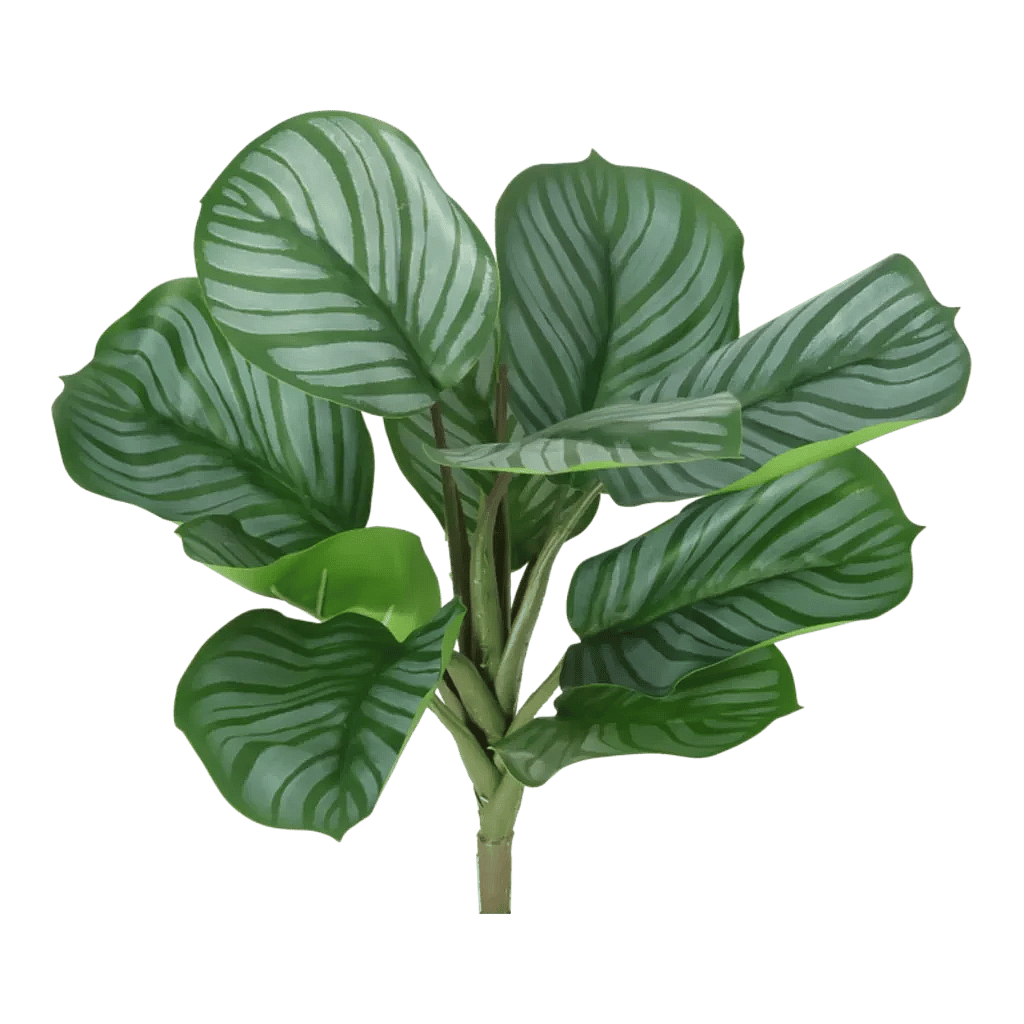 Kunstig Calathea H: 30 cm.