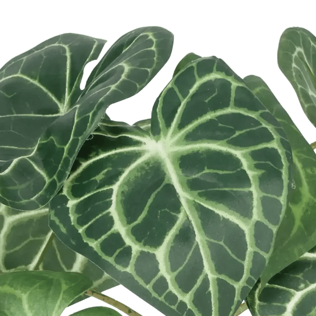 Closeup af Kunstig Plante H: 30 cm.