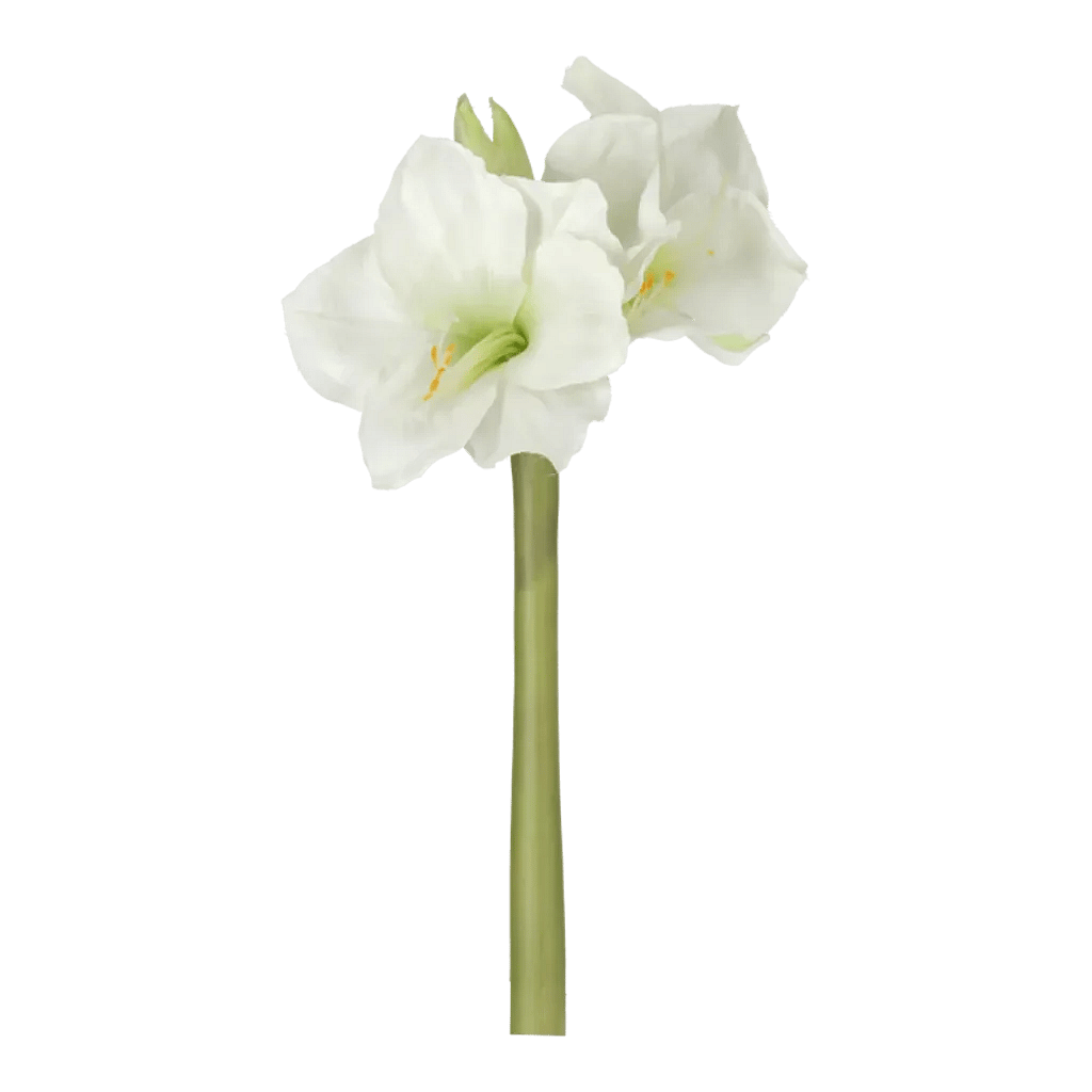 Kunstig Amaryllis hvid - L: 50 cm.