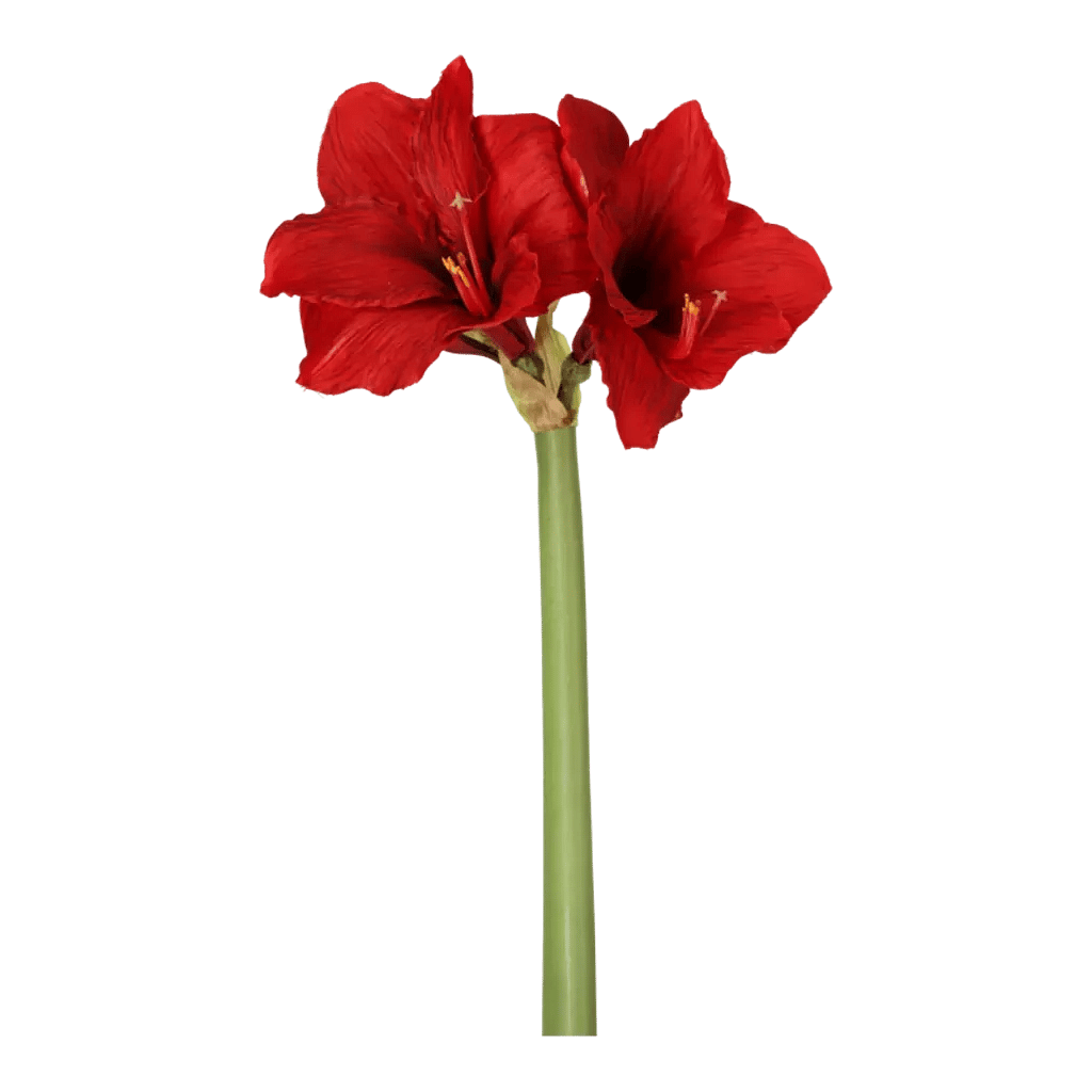 Kunstig Amaryllis rød - L: 50 cm.