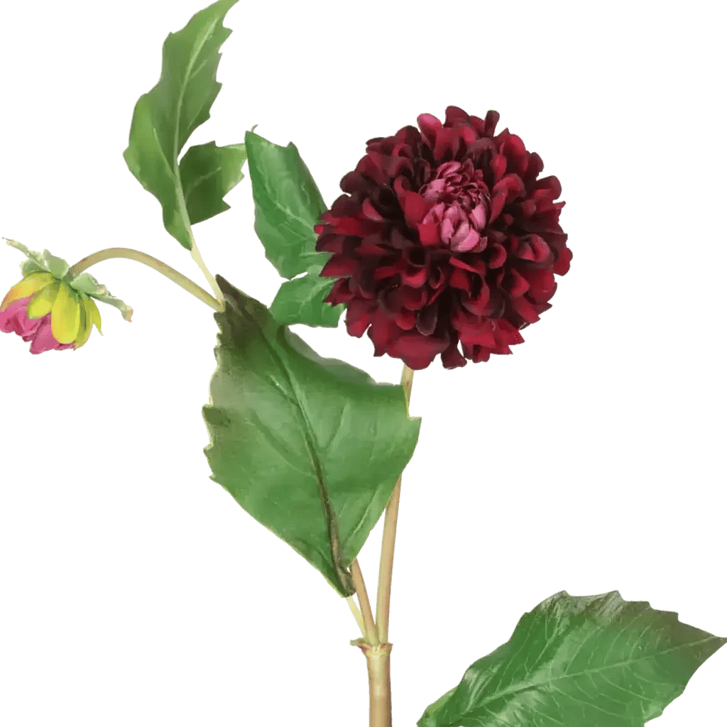 Closeup af Kunstig dahlia stilk i vinrød - L: 52 cm.