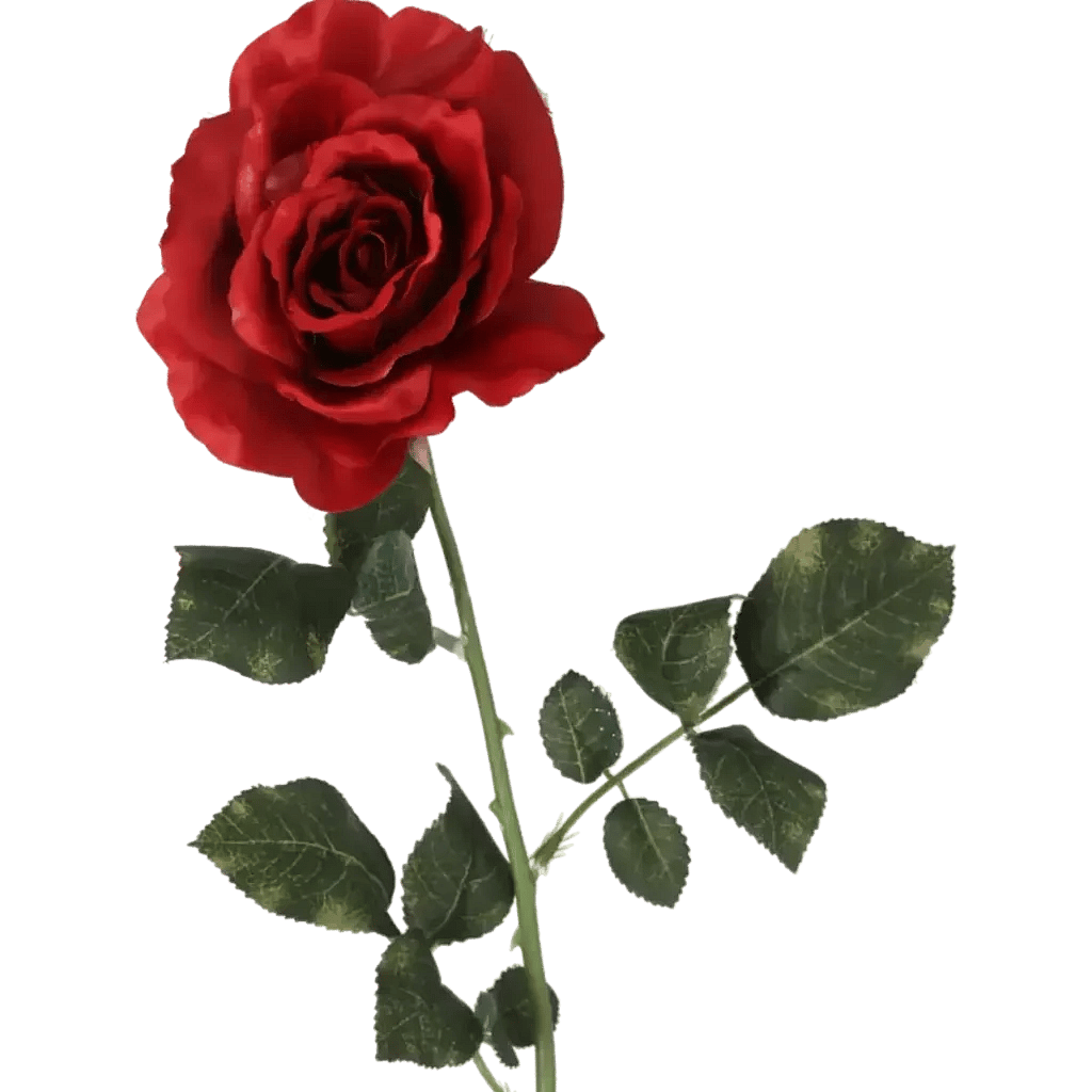 Closeup af Kunstig Rose stilk i rød - L: 75 cm.