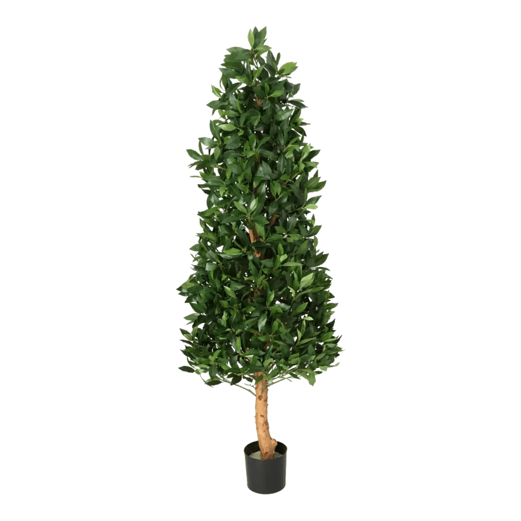 Kunstig Laurbær Pyramide de luxe H: 170 cm.