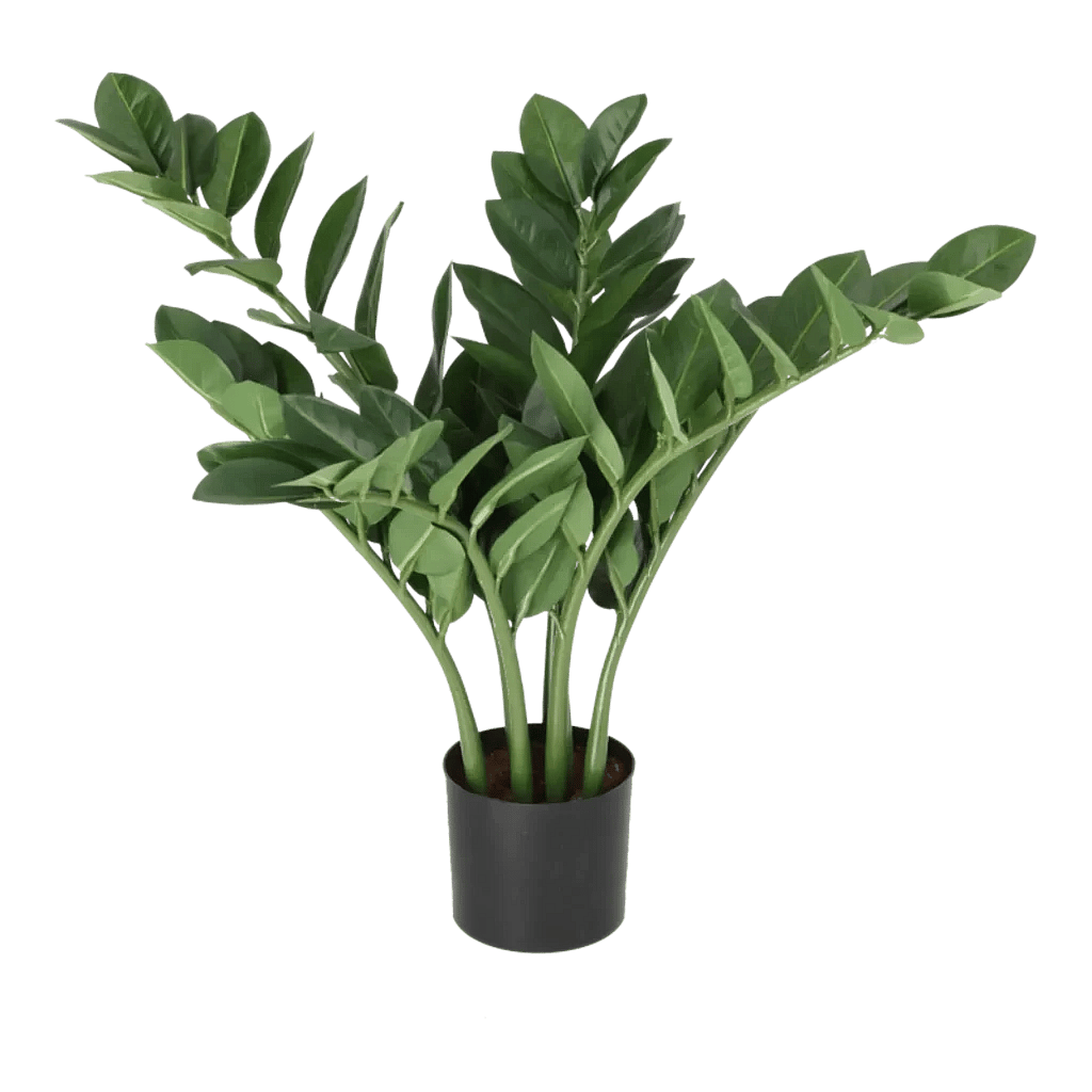 Kunstig Zamioculcas H: 45 cm.