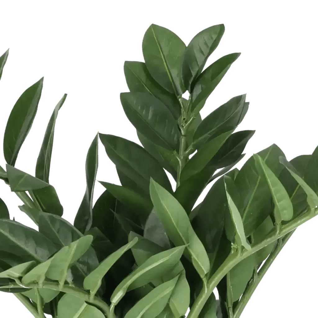 Closeup af Kunstig Zamioculcas H: 45 cm.