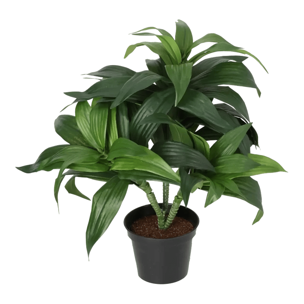 Kunstig dracaena fragrans - H: 35 cm.