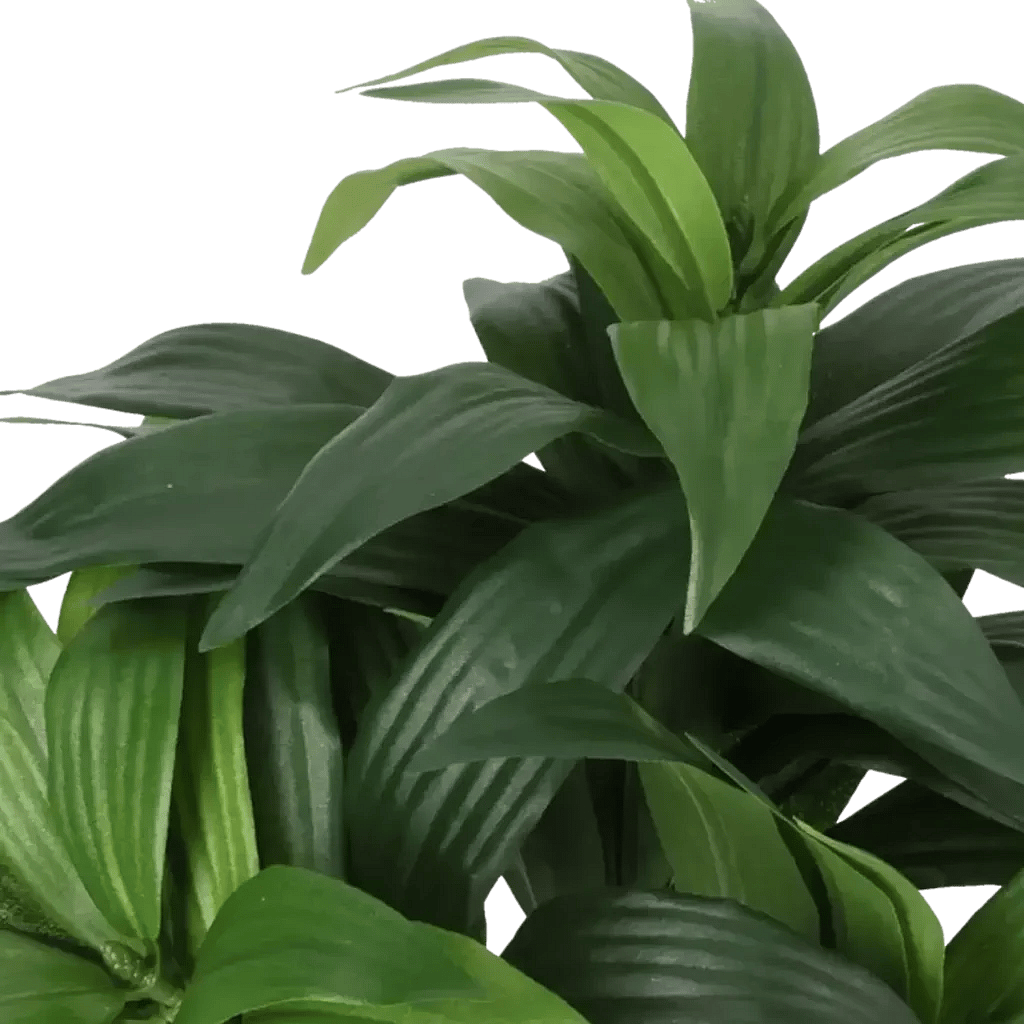 Closeup af Kunstig dracaena fragrans H: 35 cm.
