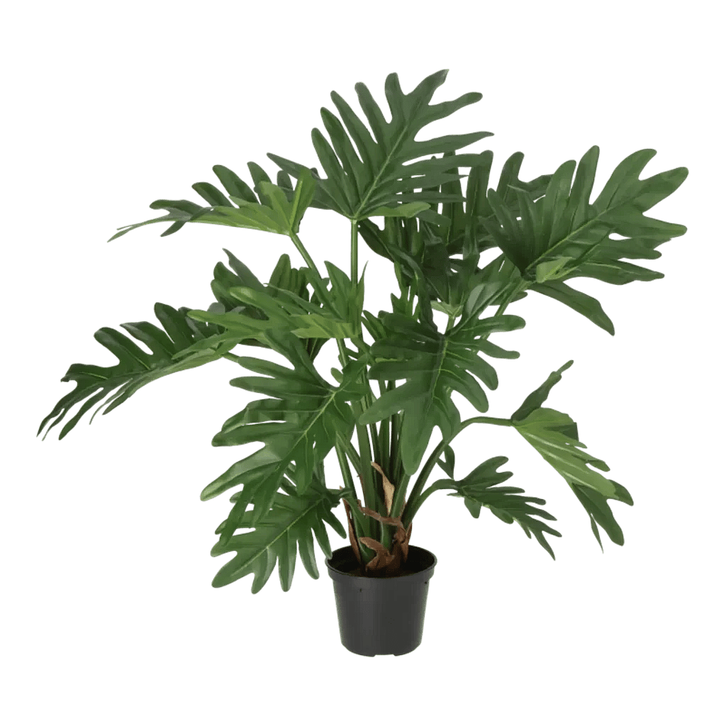 Kunstig Philodendron H: 43 cm.