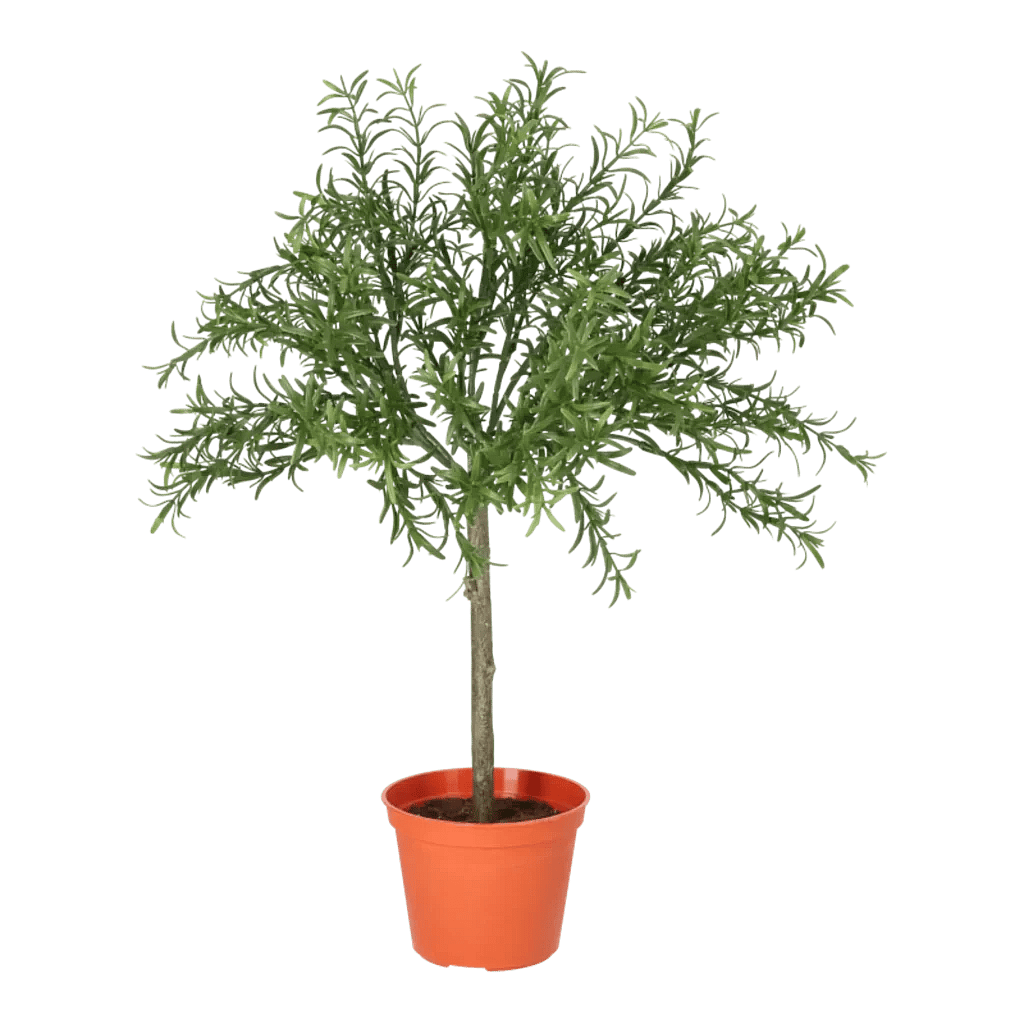 Kunstig Rosmarin H: 52 cm.
