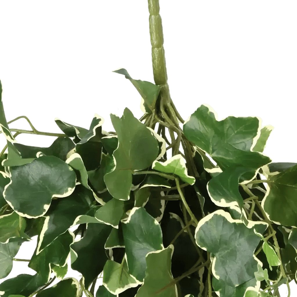 Closeup af Kunstig Efeu hængeplante L: 45 cm.