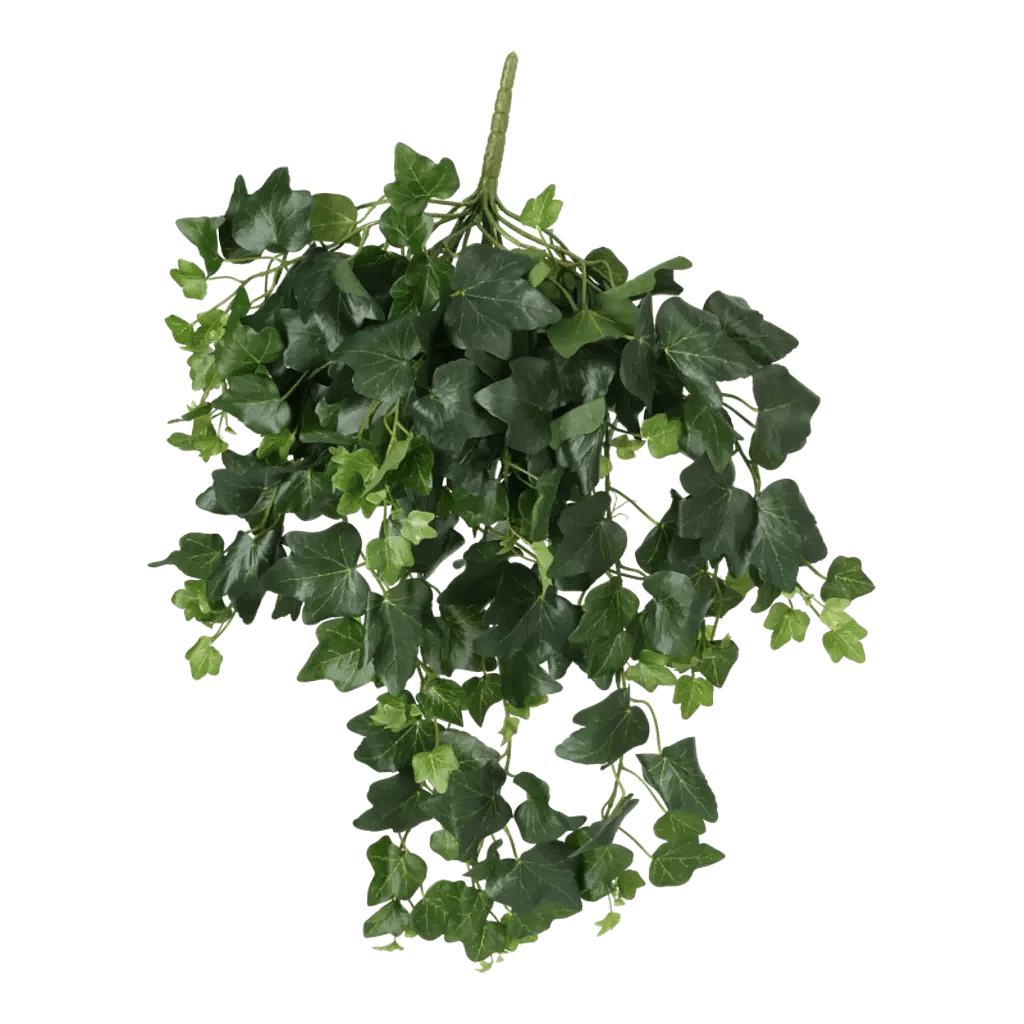 Kunstig Efeu hængeplante L: 65 cm.