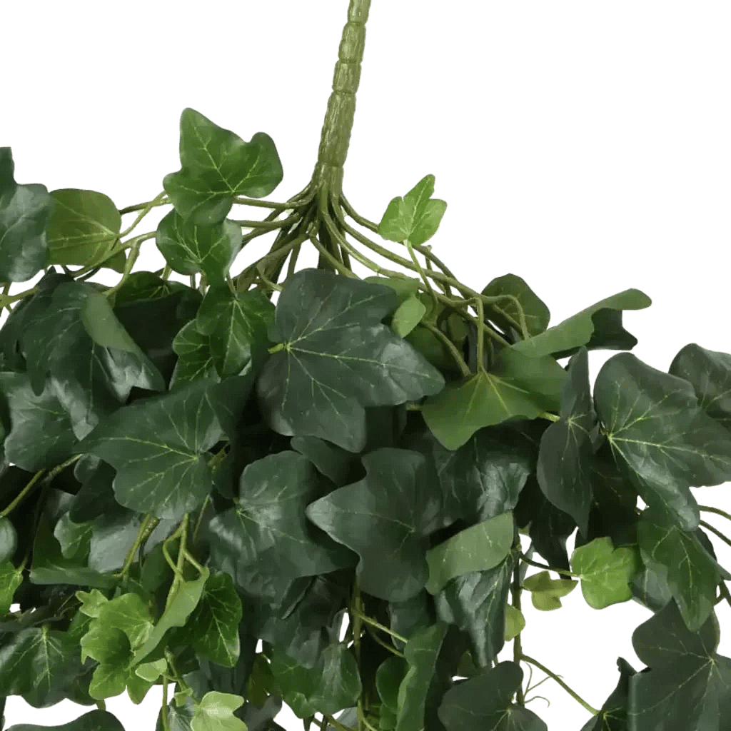 Closeup af Kunstig Efeu hængeplante L: 65 cm.