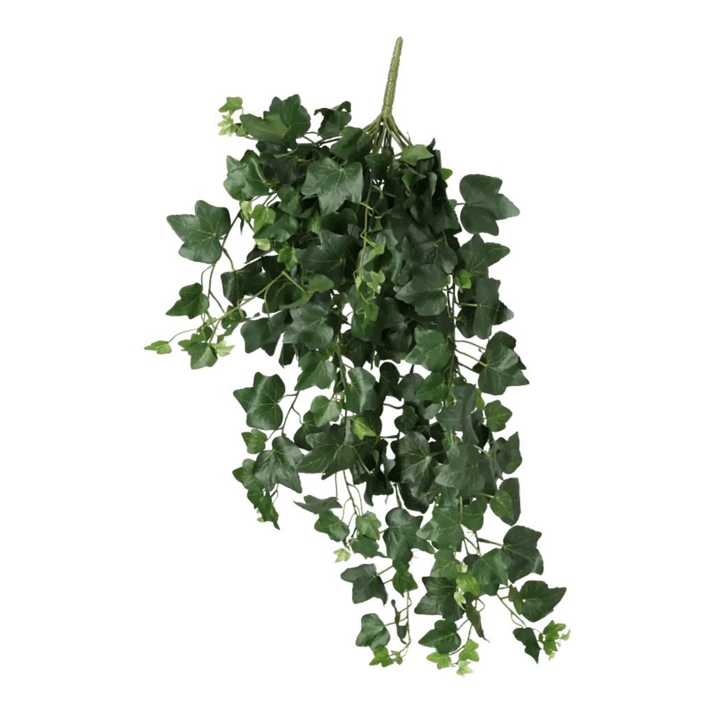 Kunstig Efeu hængeplante L: 75 cm.