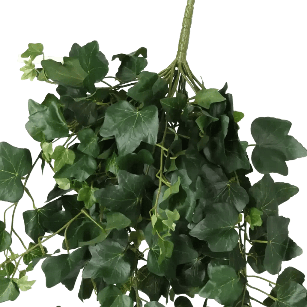 Closeup af Kunstig Efeu hængeplante L: 75 cm.