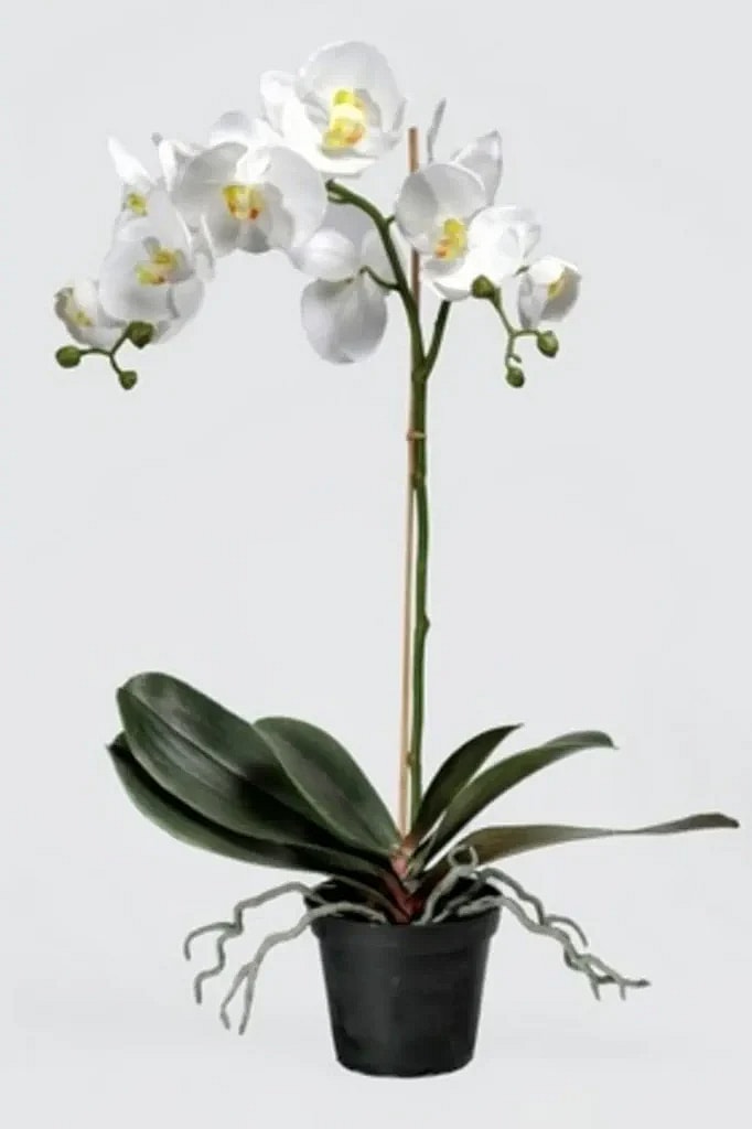 Kunstig orkidé hvid - H: 60 cm.