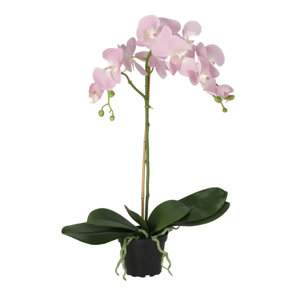 Kunstig Phalaenopsis Orkidé H: 60 cm.