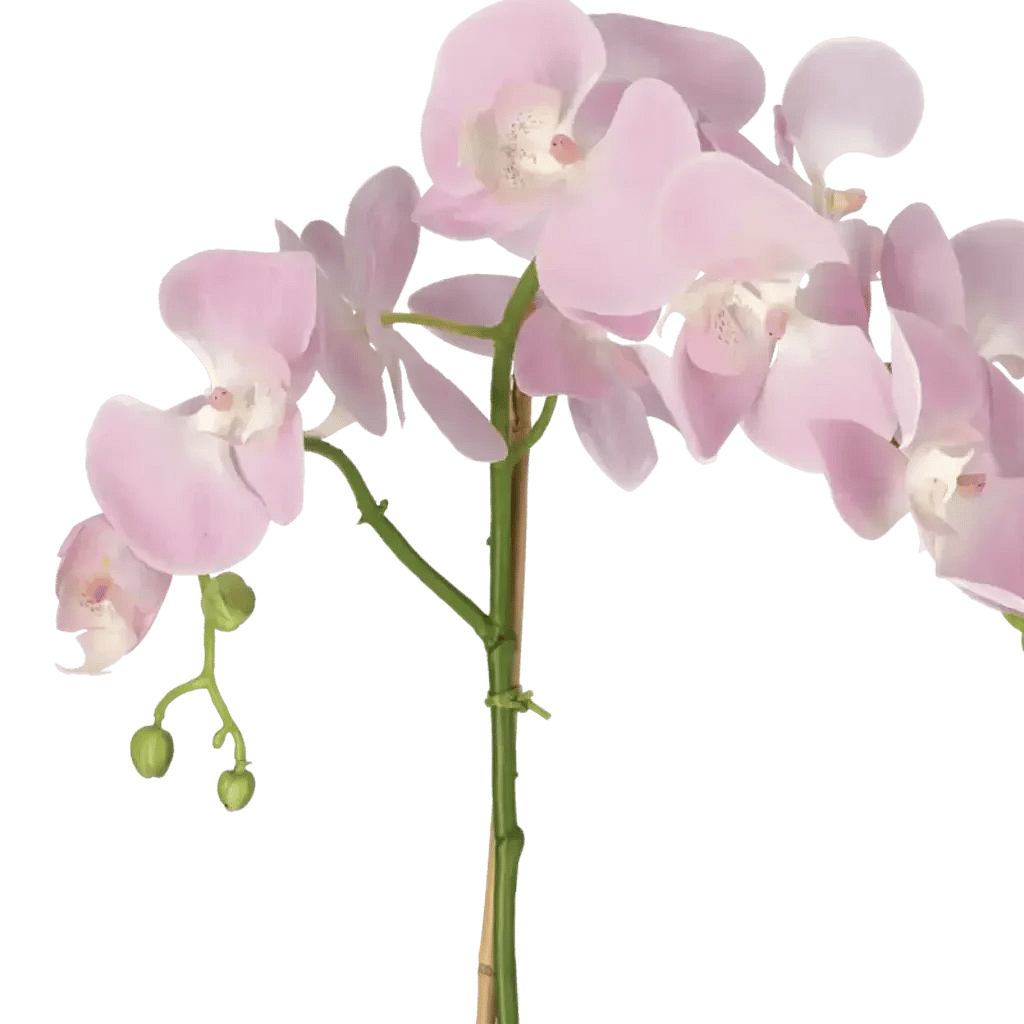 Closeup af Kunstig Phalaenopsis Orkidé H: 60 cm.