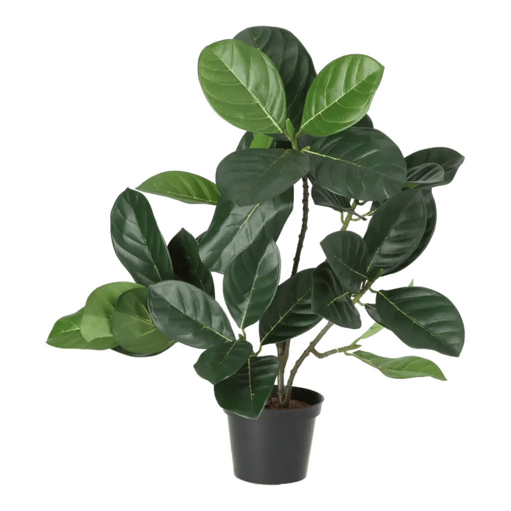 Kunstig Artocarpus Integer - H: 40 cm.