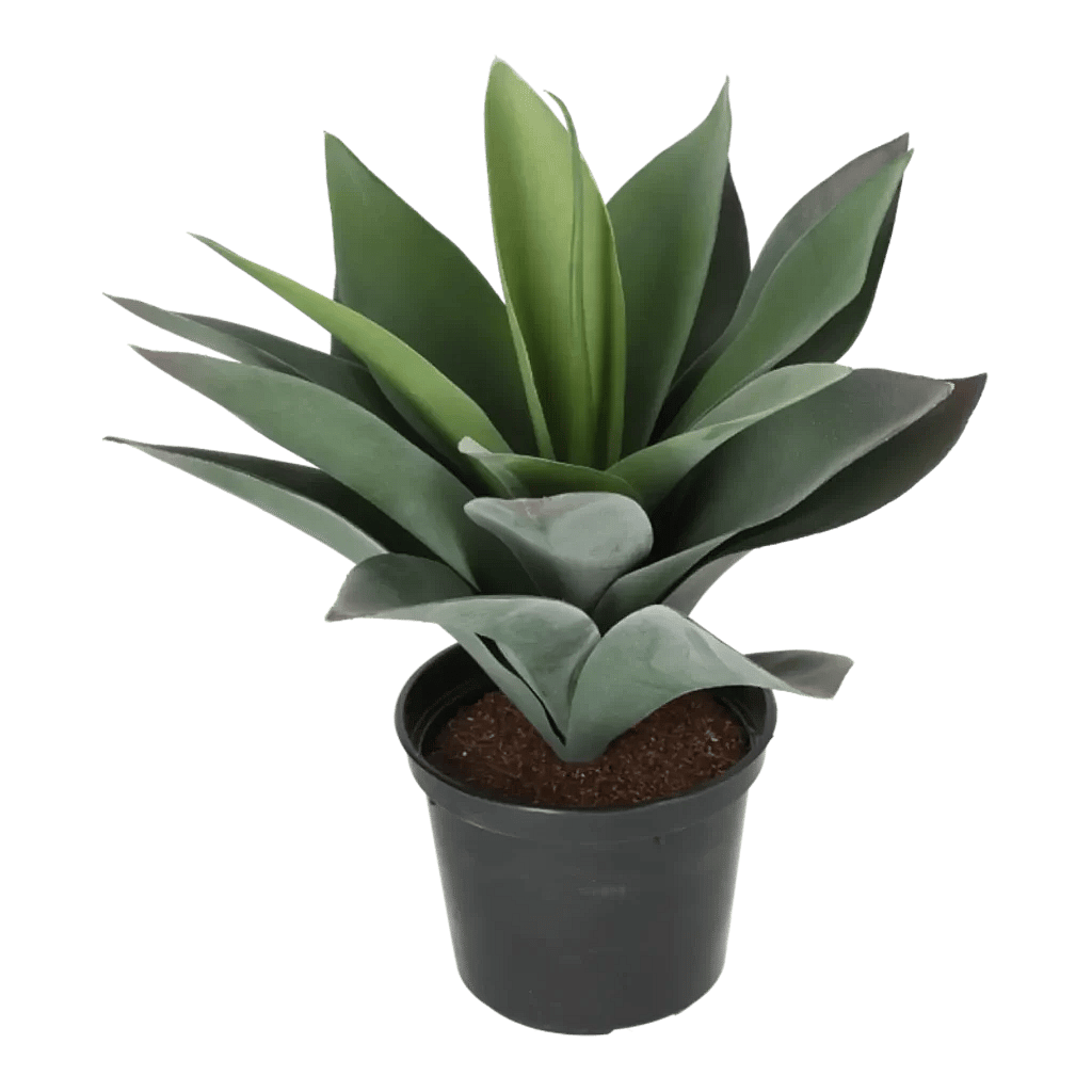 Kunstig baby Agave H: 25 cm.