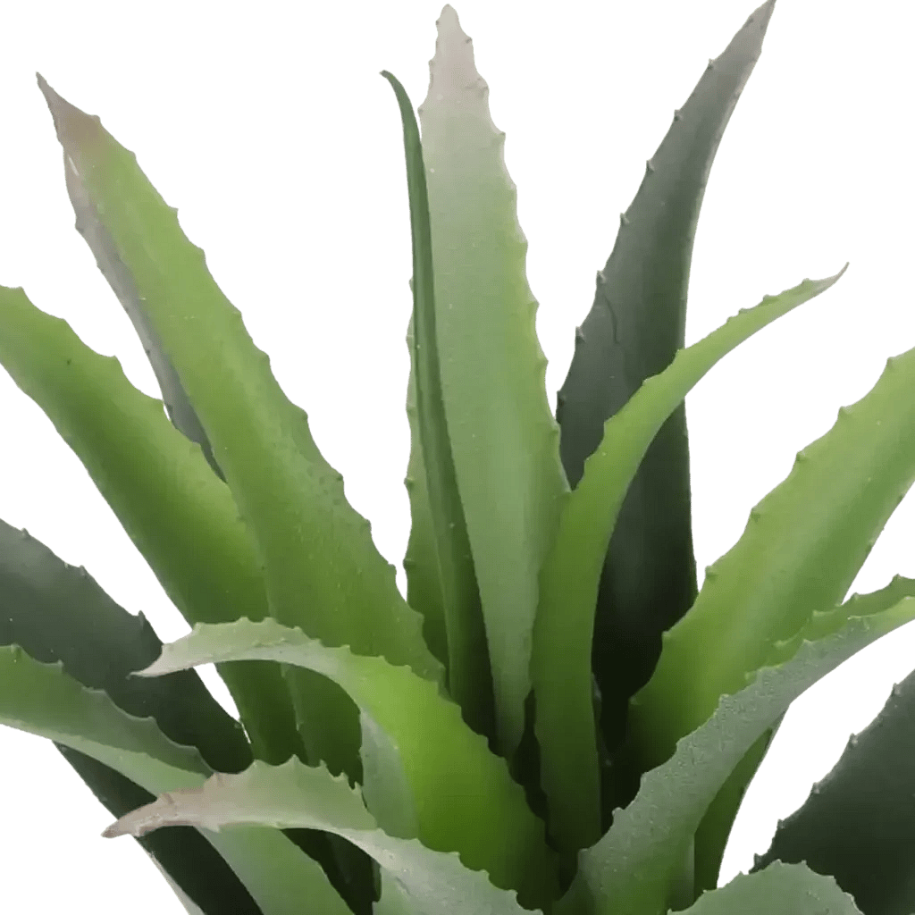 Closeup af Kunstig baby agave - H: 23 cm.