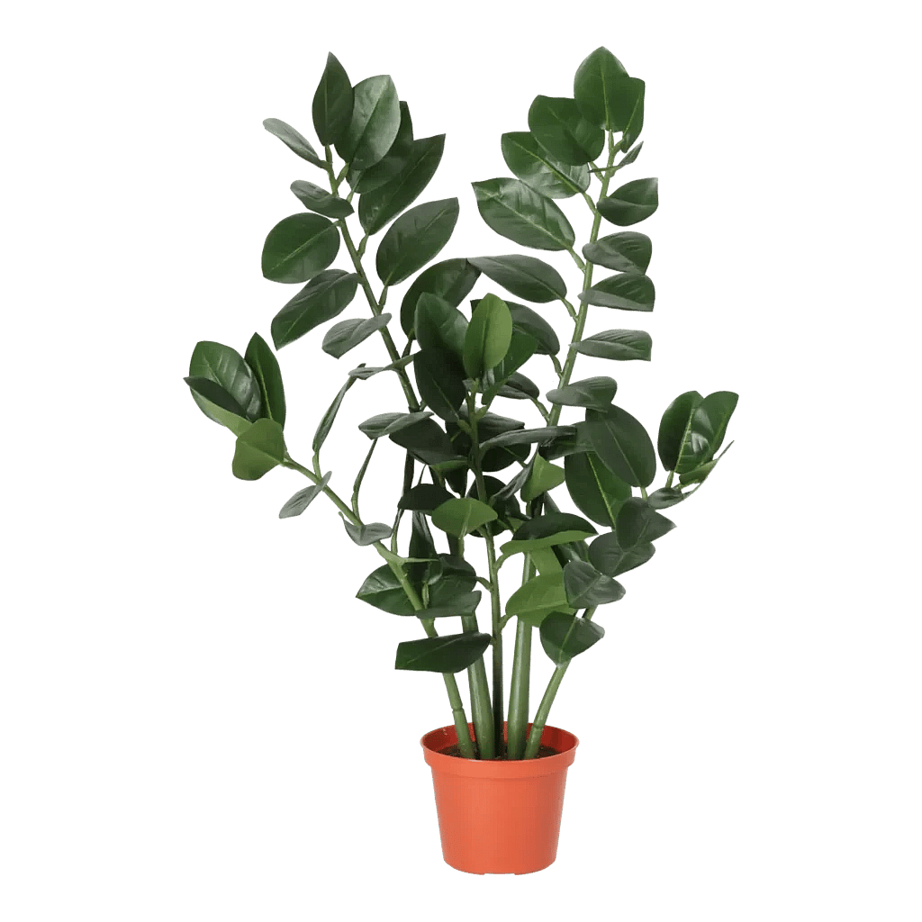 Kunstig Zamioculcas H: 50 cm.