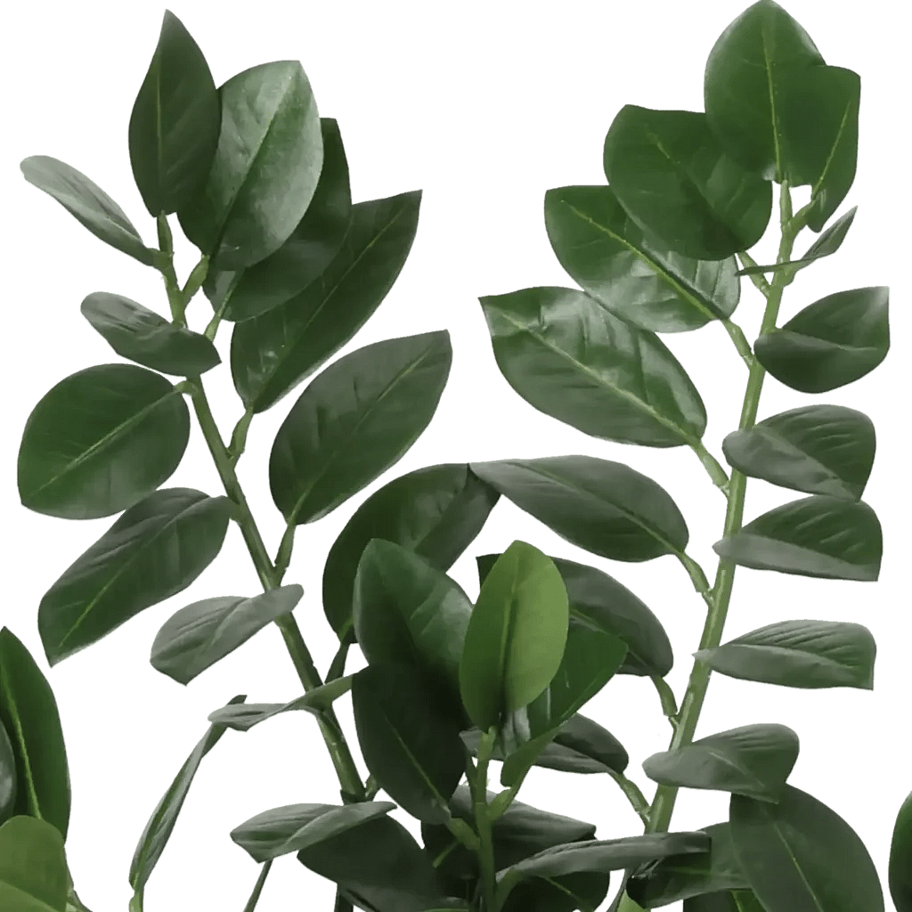 Closeup af Kunstig Zamioculcas H: 50 cm.