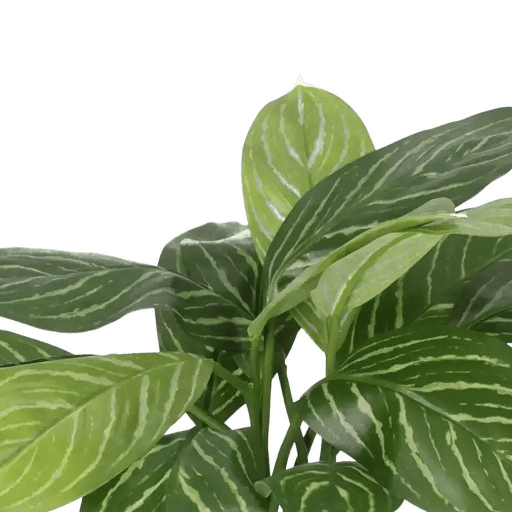 Closeup af Kunstig Hosta H: 40 cm.