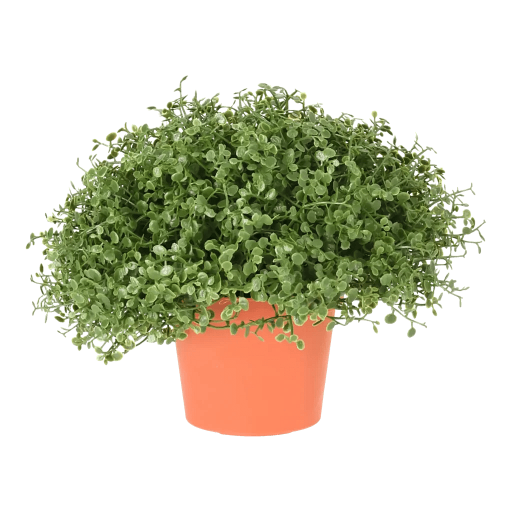 Kunstig Husfred H: 15 cm.