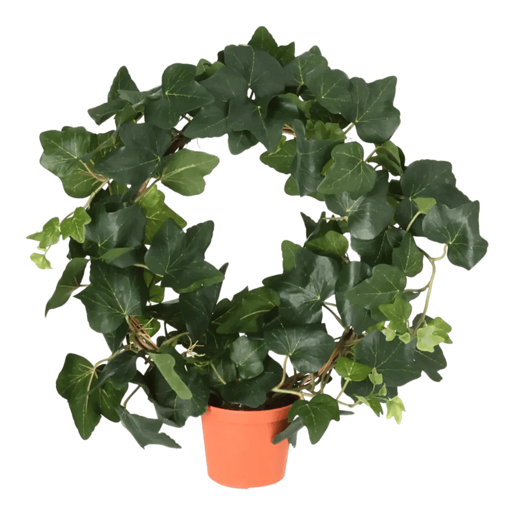 Kunstig Efeu ring H: 40 cm.