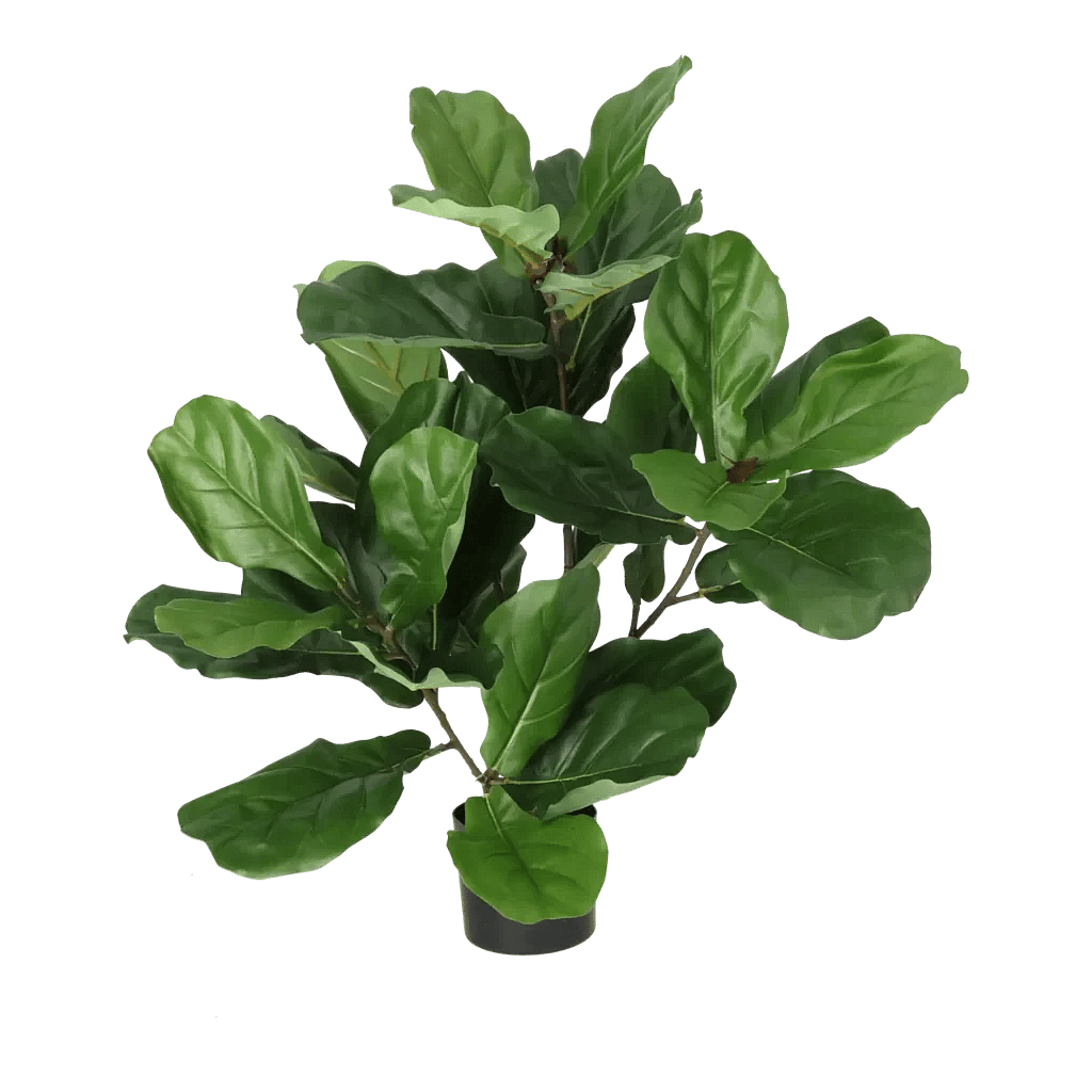 Kunstig fiddleleaf Fig - H: 65 cm.