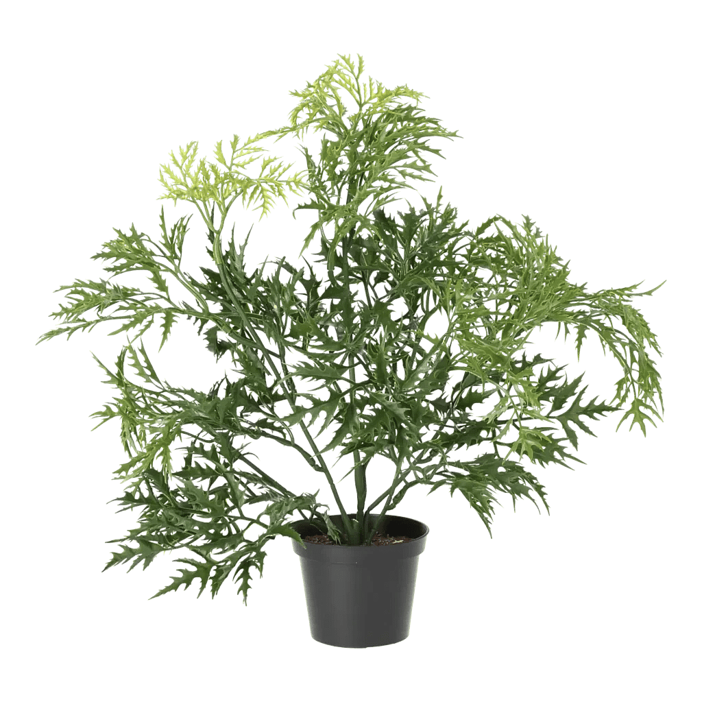 Kunstig Ming Aralia H: 37 cm.
