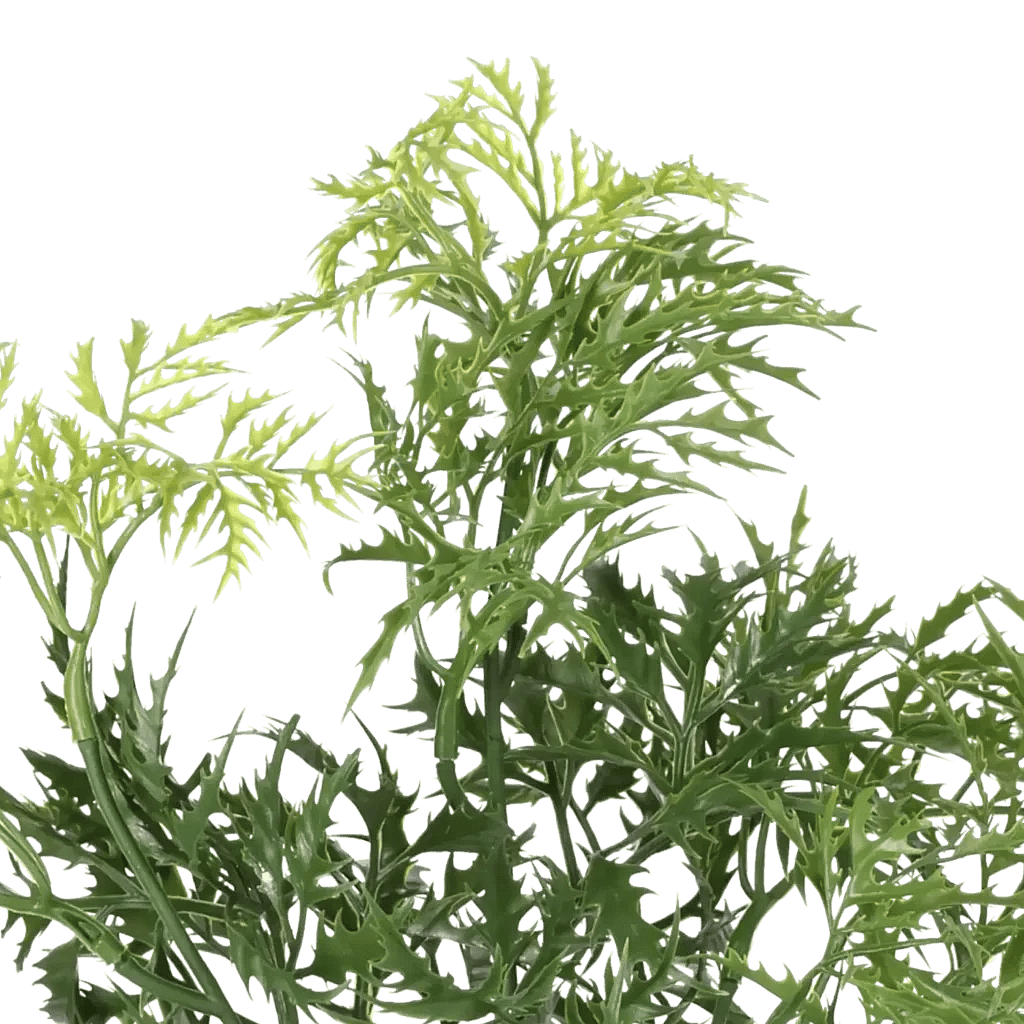 Closeup af Kunstig Ming Aralia H: 37 cm.