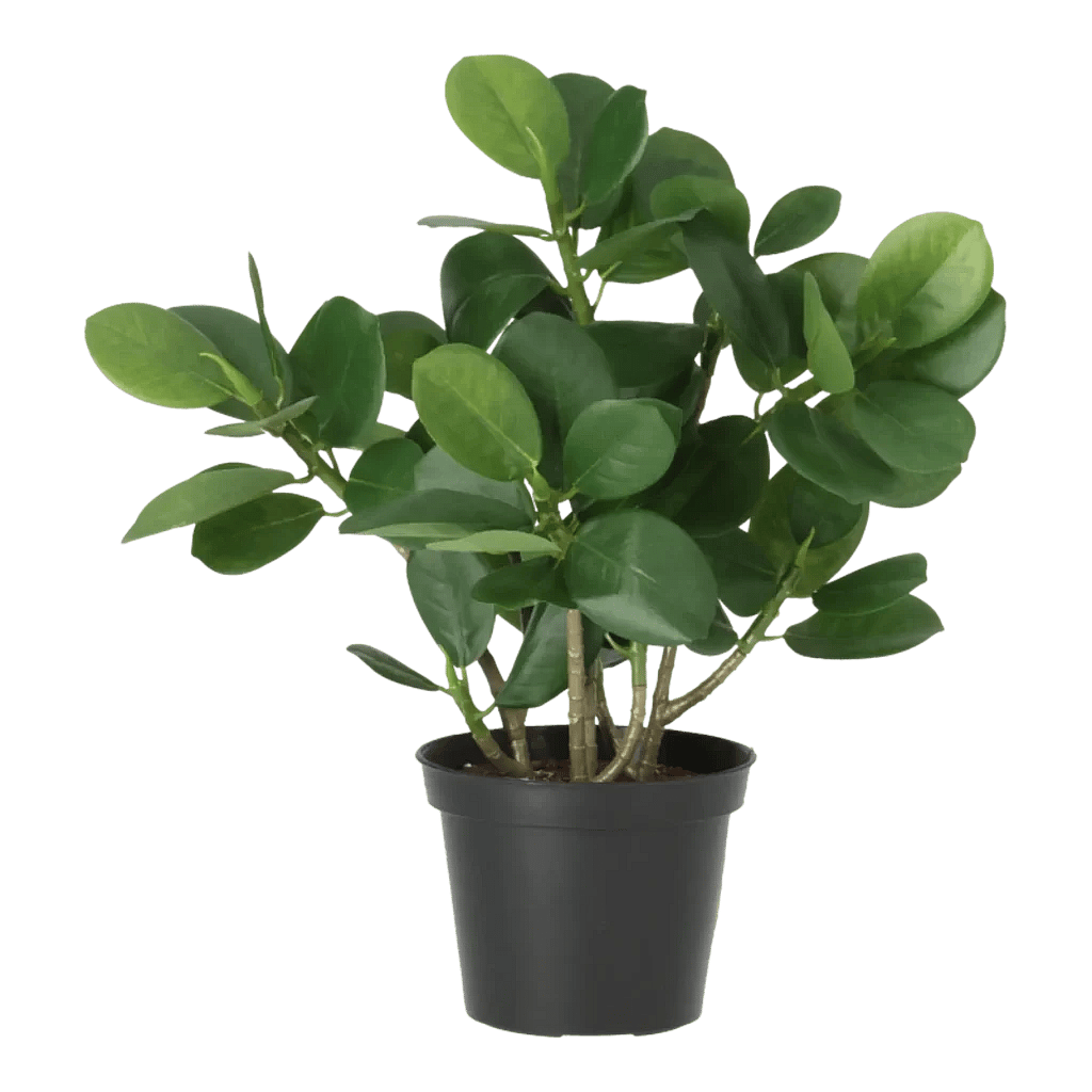 Kunstig Ficus Panda H: 28 cm.