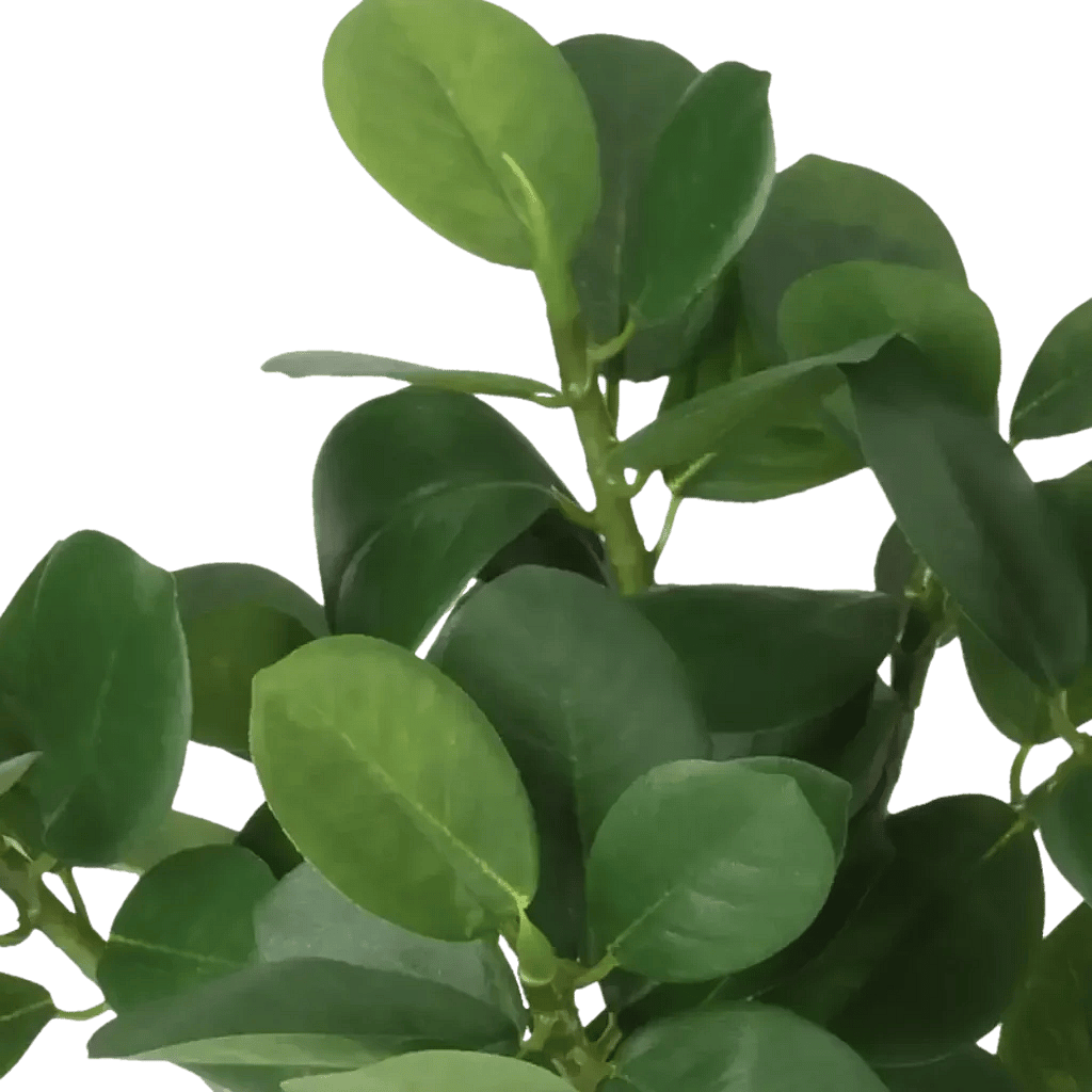 Closeup af Kunstig Ficus Panda H: 28 cm.