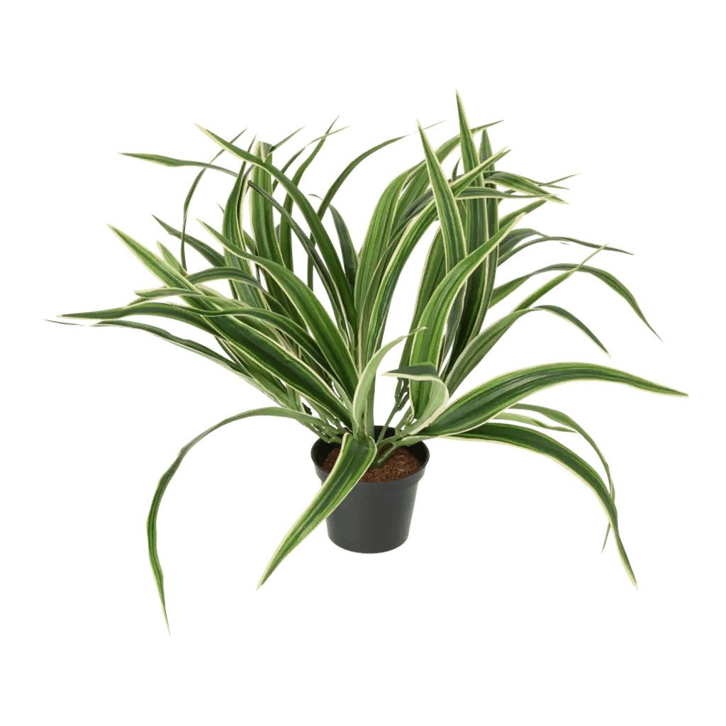 Kunstig Chlorophytum H: 34 cm.