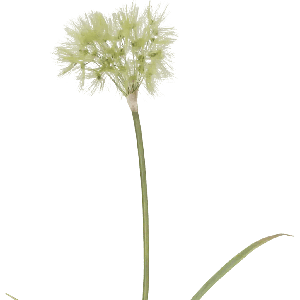 Closeup af Kunstig grøn mælkebøtte stilk - L: 105 cm.
