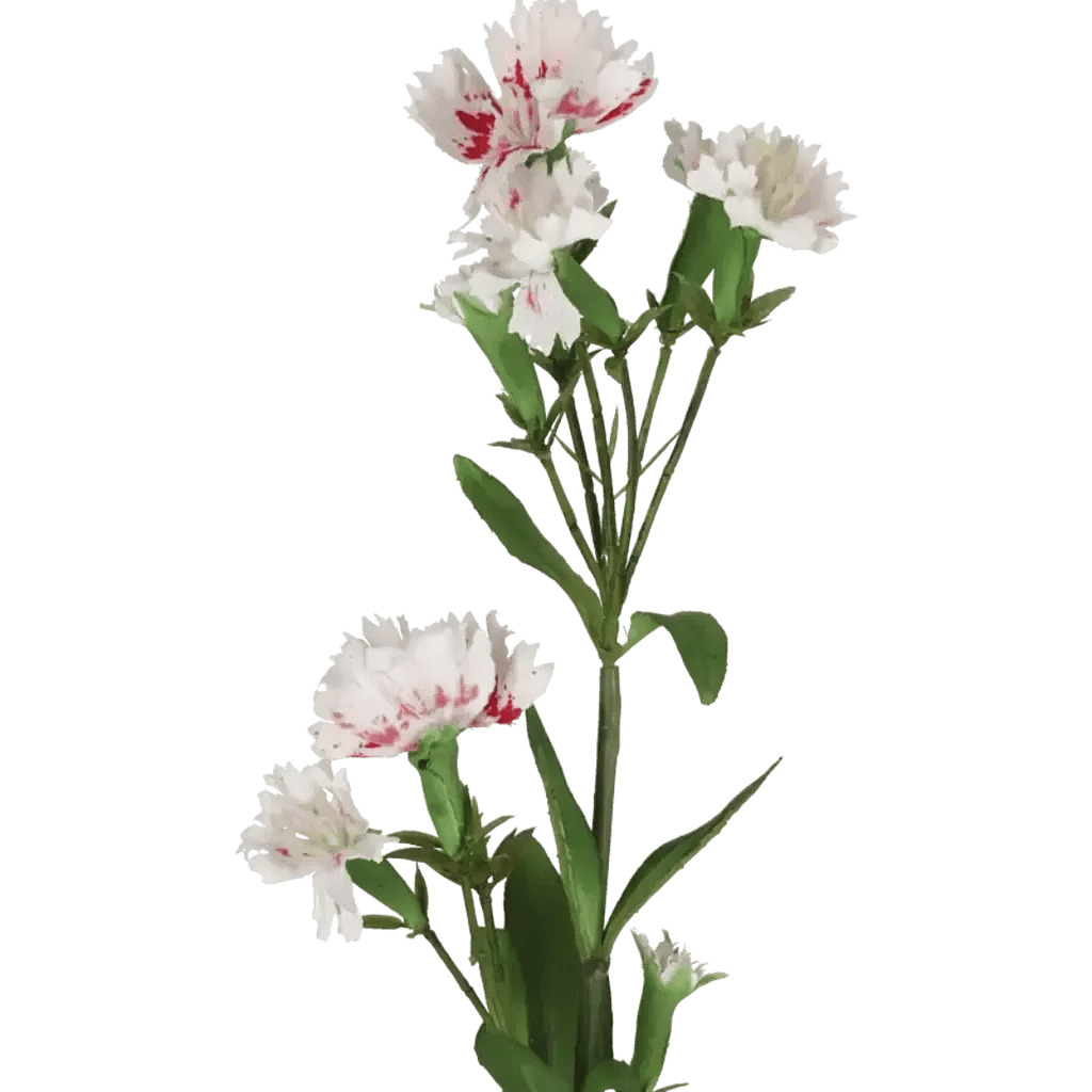 Closeup af Kunstig Dianthus L: 47 cm.